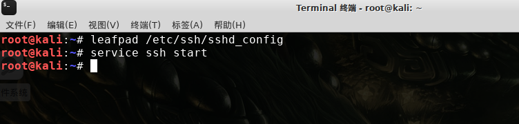 Kali linux安装SSH服务