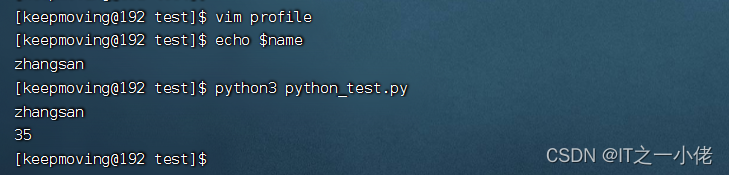 Linux服务器读写python环境变量