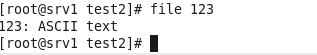 linux常用文件命令