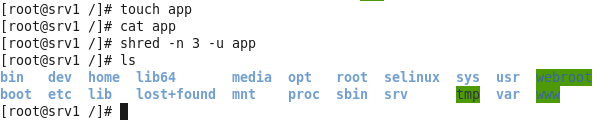 linux常用文件命令
