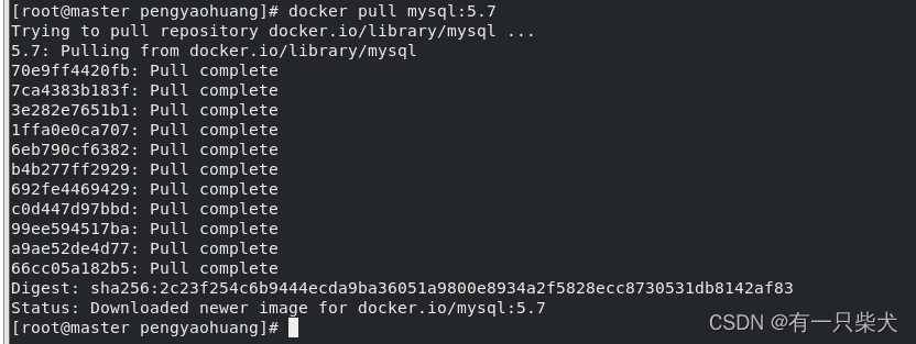13. Docker实战之安装MySQL_运维_05