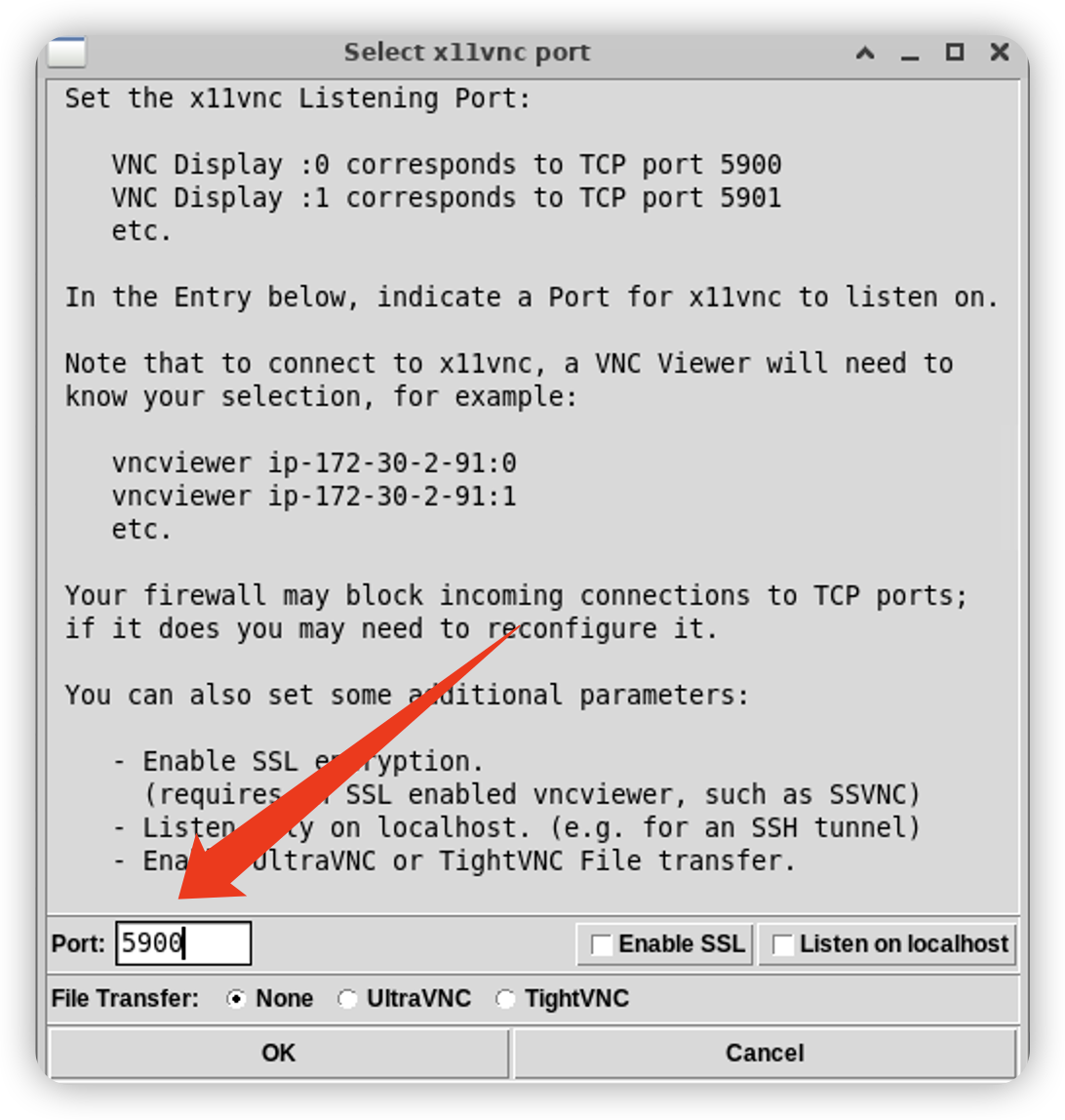 Ubuntu安装VNC远程访问_Server_02
