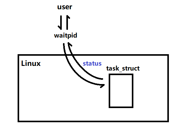 Linux平台下的进程控制_非阻塞轮询_03