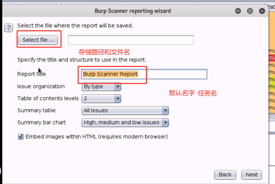 Burpsuite Scanner被动扫描生成安全评估报告_应用程序_09