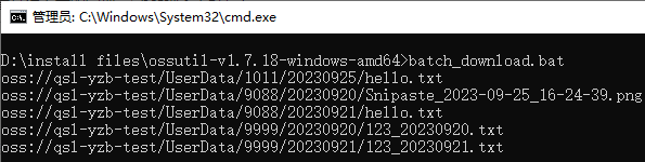 记一次 OSS 大批量文件下载的实现 → bat脚本不好玩！_字符串_18
