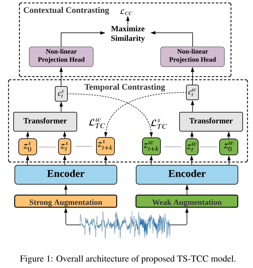 TS-TCC: 通过时序和上下文对比学习时间序列表征《Time-Series Representation Learning via Temporal and Contextual Contrasti_数据