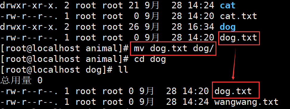 Linux mv命令：移动文件或改名_运维_03