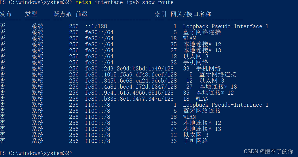 Ubuntu 搭建 DHCP ivp6 server 步骤_运维_06