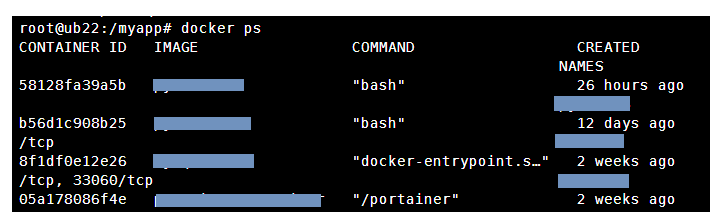 [Docker]如何添加文件卷到已存在的docker容器_volume_02