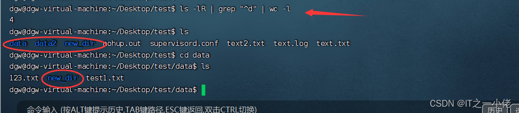 Linux系统中查看当前文件夹下文件的个数_当前路径_04