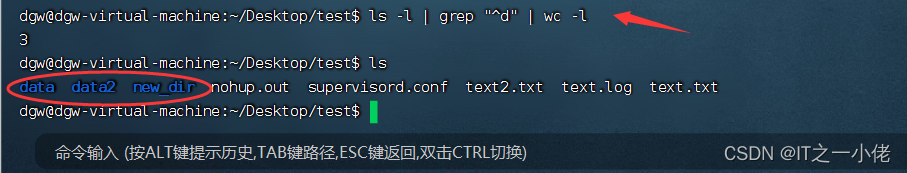 Linux系统中查看当前文件夹下文件的个数_当前目录_03
