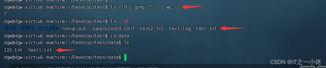 Linux系统中查看当前文件夹下文件的个数_当前目录_02