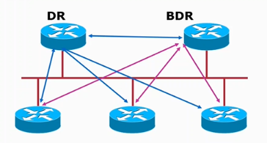 Cisco CCNP——OSPF网络类型&LSA链路状态通告_网络类型_03