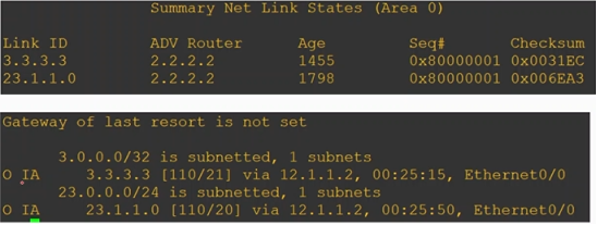 Cisco CCNP——OSPF网络类型&LSA链路状态通告_网络类型_18