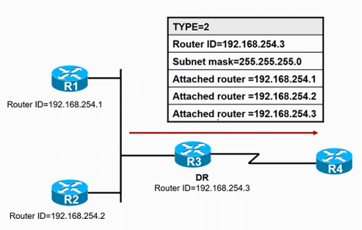 Cisco CCNP——OSPF网络类型&LSA链路状态通告_优先级_13