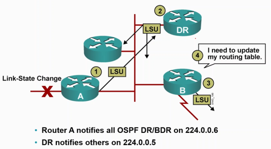 Cisco CCNP——OSPF报文类型&OSPF配置_OSPF_09