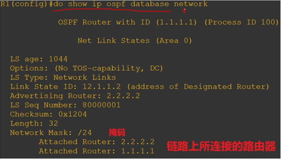 Cisco CCNP——OSPF网络类型&LSA链路状态通告_网络类型_15