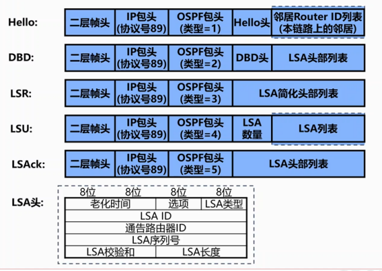 Cisco CCNP——OSPF报文类型&OSPF配置_Cisco_04