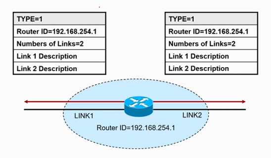 Cisco CCNP——OSPF网络类型&LSA链路状态通告_Cisco_10