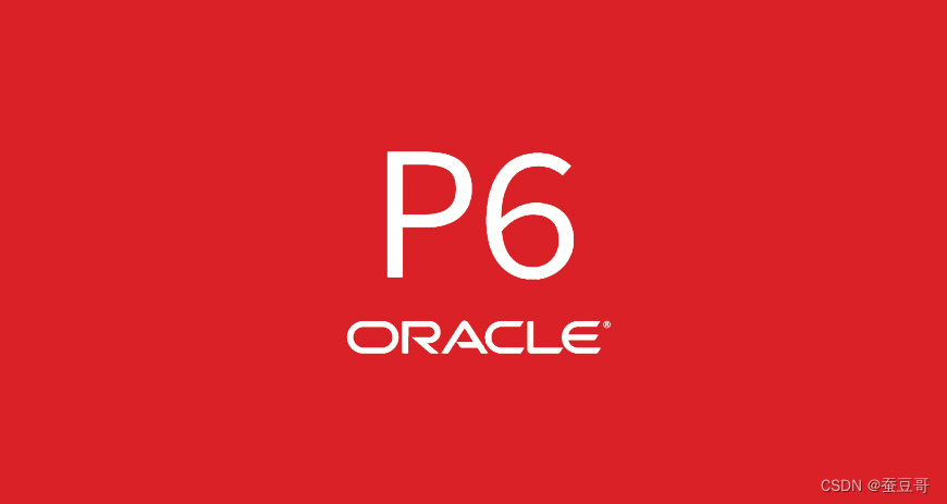 P6入门：项目初始化7-项目详情之代码/分类码Code_oracle