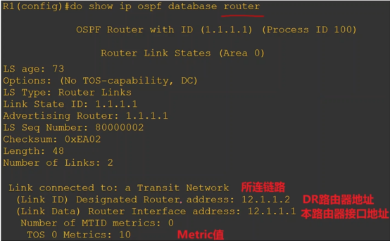 Cisco CCNP——OSPF网络类型&LSA链路状态通告_优先级_12