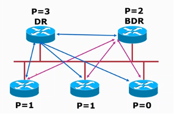 Cisco CCNP——OSPF网络类型&LSA链路状态通告_网络类型_04