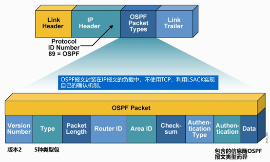 Cisco CCNP——OSPF报文类型&OSPF配置_序列号