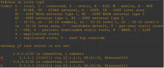 Cisco CCNP——OSPF网络类型&LSA链路状态通告_优先级_16