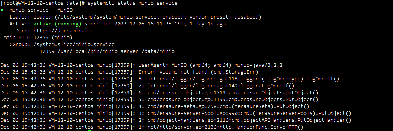 Minio服务器搭建和整合_spring_02