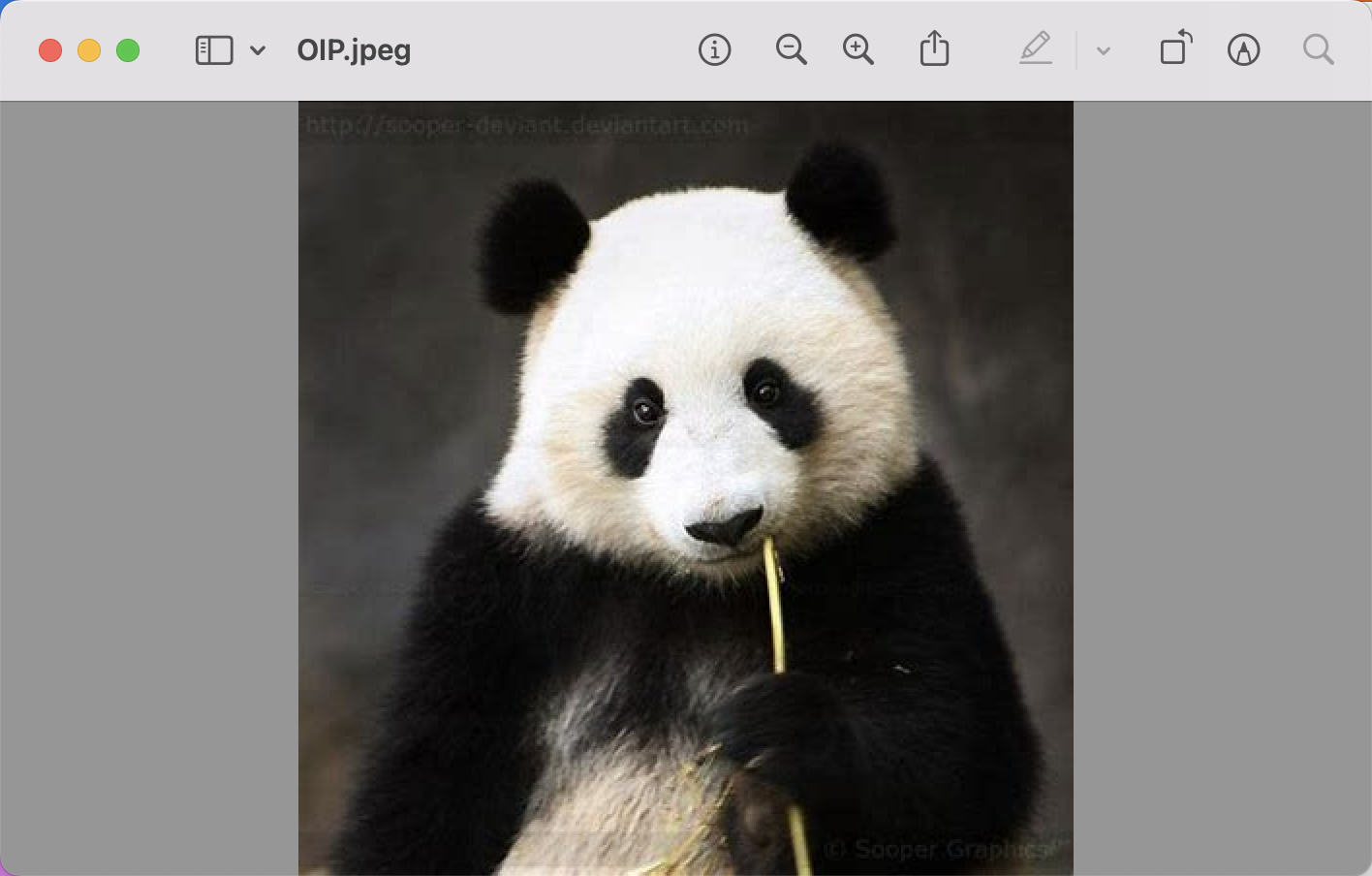 如何实现图像搜索，文搜图，图搜图，CLIP+faiss向量数据库实现图像高效搜索_Image_04