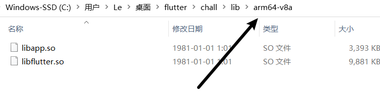 【flutter对抗】blutter使用+ACTF习题_反编译_08
