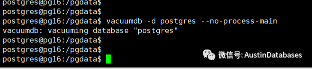 PostgreSQL  难搞的事系列 --- vacuum 的由来与PG16的命令的改进 （1）_PostgreSQL_09
