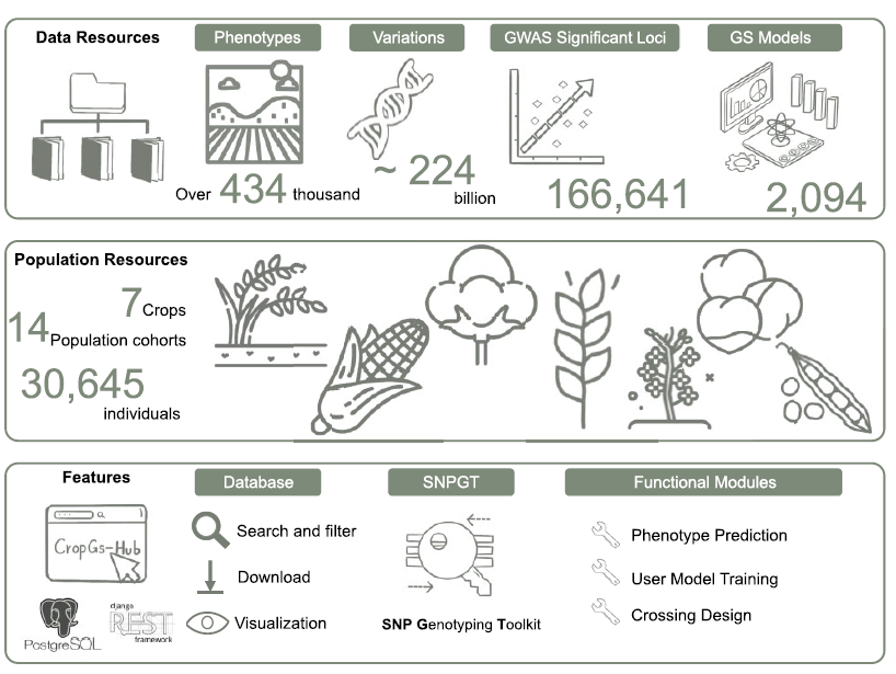 NAR | 华大和上海师范大学开发的基因组选择平台CropGS-Hub_数据库_03