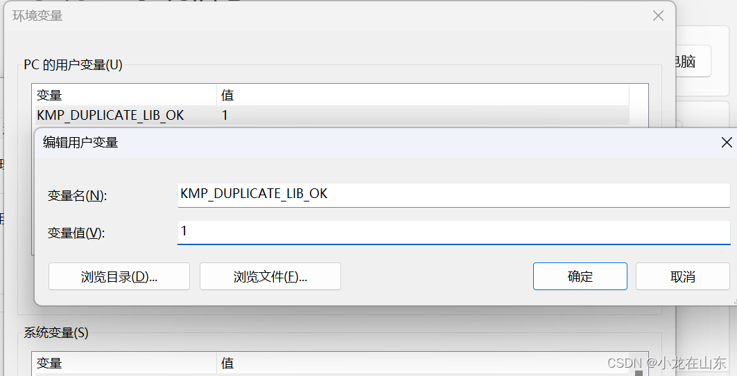 Initializing libiomp5md.dll, but found libiomp5md.dll already initialized._环境变量_02