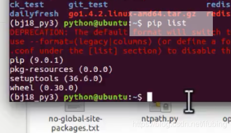 python-虚拟环境的创建与使用-针对linu系统_python_10