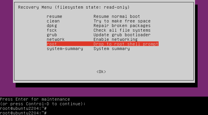 Ubuntu如何进救援模式
