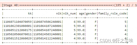 pandas，polars，pyspark的df对象常见用法对比